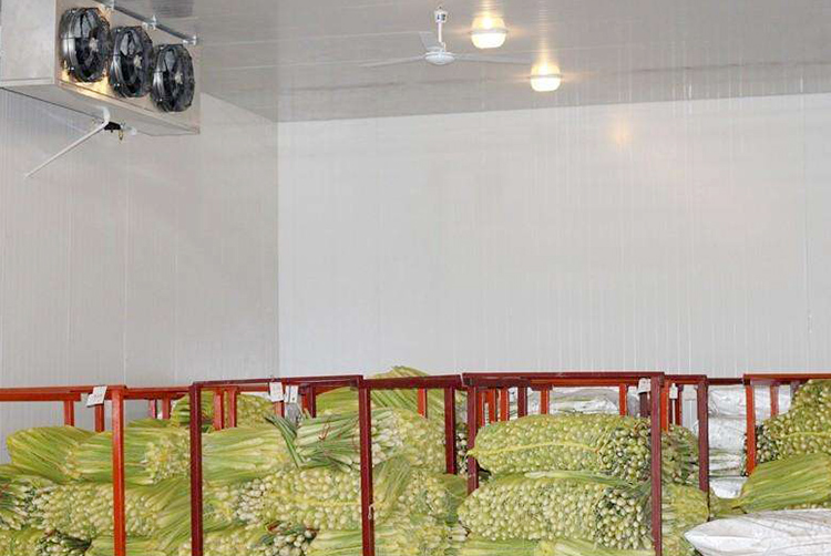 冷庫(kù)設(shè)計(jì)安裝